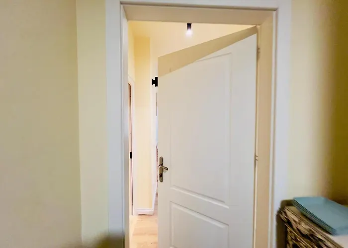 Sweet Yellow Palace, Pazari I Ri Tirana